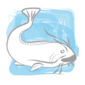Fischhof Datler